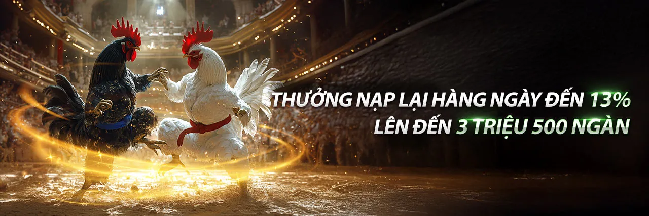 Ưu Đãi Đặc Biệt bomwin code